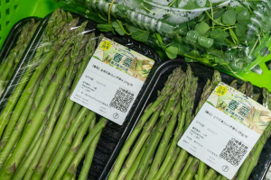 125�����m(x��)�����������I�˴��조ِ�����Ј���