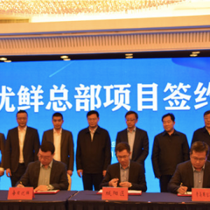 ÿ�Ճ�(y��u)�r�@���u��(zh��n)��Ͷ�Y20�|Ԫ �������B(t��i)朿����a(ch��n)�I(y��)�@