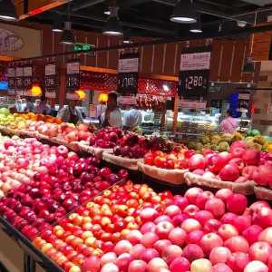 ����(ji��)�^��������@���{(di��o)������������