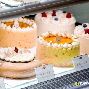 �������� ���³��l(f��) ��������Ħ�����I(y��)�������I�������決����څ��