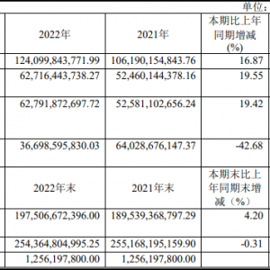 ���דƣ�2022������s347.41�|Ԫ��ͬ�Ȝp��15.5%