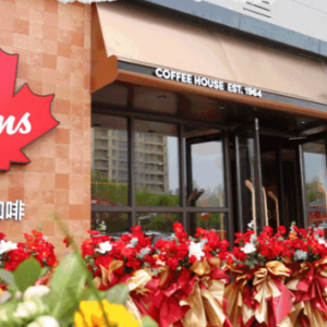 Tims����Ї���һ���ȃ��������49.8%���T����ꌢ��1000��