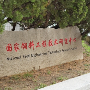 �W(w��ng)������c�Ї�(gu��)�r(n��ng)�I(y��)��W(xu��)�_(d��)�ɑ�(zh��n)�Ժ��� �Ƅ�(d��ng)�����ИI(y��)�аl(f��)��(bi��o)��(zh��n)������(j��)