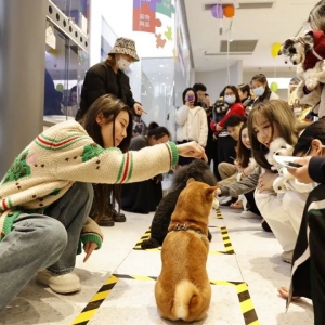 �y̩��؛�p11��ّ�(zh��n)��(b��o)������ͬ�����L(zh��ng)��45%