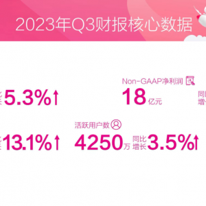 ΨƷ��(hu��)��������ؔ(c��i)��(b��o)�����I(y��ng)��228�|Ԫ��ͬ�����L(zh��ng)5.3%