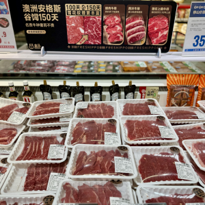 ���R�^�m(x��)����ɽ�� ������˹150����ţ��ȫ�潵�r