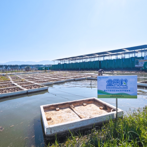 ȫ���ׂ��Gɫ�~���R����Ƴ���