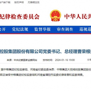 �󐂳ǿعɿ���(j��ng)���ܘs��������������(d��ng)Ͷ��