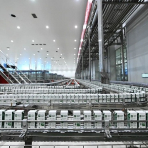 ��������(ji��)���g�a(ch��n)�N���������ꌍ�F(xi��n)���_�T�t��