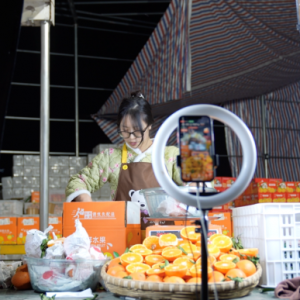 ƴ���2023��I��2476�|���аl(f��)Ͷ���B�m(x��)���ك|