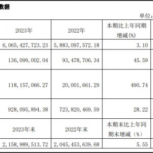 ���A��؛2023��I(y��)�����I��60.65�|Ԫ����������45.59%