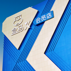 ���R�M�؆���(hu��)�T���������ۿۻ�