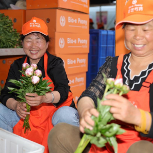 �����r(sh��)��һ�����r�������R3����10�����ˎ��Ʒ