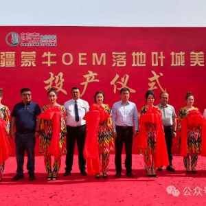 �½���ţOEM��ؿ�ʲ�~��������Ӌ������ȫ�µĺ���ģʽ