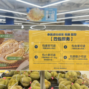 ���RX���T������ɏ���İ�������(w��)����Ҳ���¡���ɏä�С�