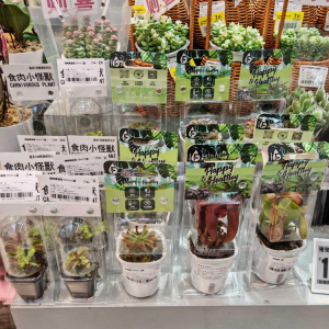 �����M(j��n)���r���a(ch��n)�ܸ߷��ڣ����R�C����õ����r���r(ji��)�����{(di��o)��40%