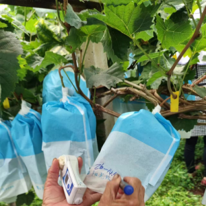 �𴮜y�ǡ����Ʈ��a(ch��n)����㳬��ꖹ�õ������3���N�����L��10��