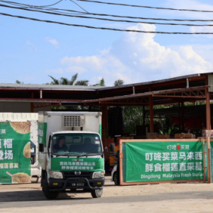 �����I���_��؈ɽ���A(y��)�ۣ��A(y��)Ӌ(j��)����9��29�յ�؛