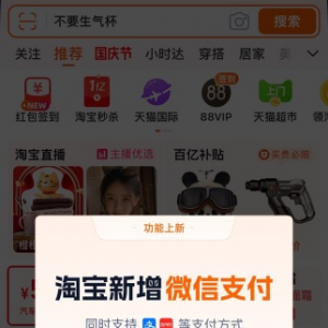 �����������Ԍ�������΢��֧����