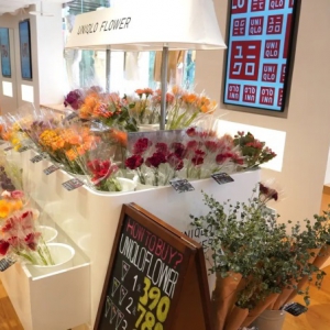 ��(y��u)�����_ȫ����Ş�꣬�I�I(y��)��e�s3966.9ƽ����