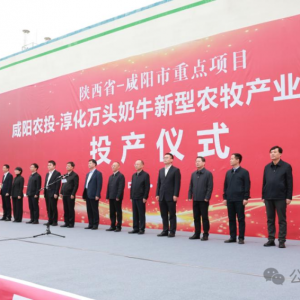 �����f�^��ţ��(ch��ng)Ͷ�a(ch��n)����a(ch��n)�rţ��7�f�����a(ch��n)ֵ��3�|Ԫ