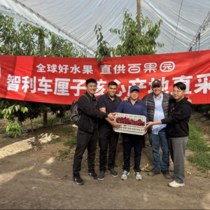 �ٹ��@����ֱ������܇?y��n)��ӏV�����A(y��)Ӌ(j��)�����ُ�����L�s�˳�