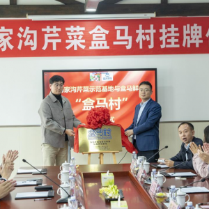 ��һ���R����ɽ�|�������@�����R�Ҝ��۲��ϼܺ��R400����T��