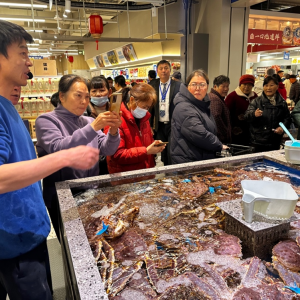 ���R�r���_�˃ɼҵ����քe�ڳ���������