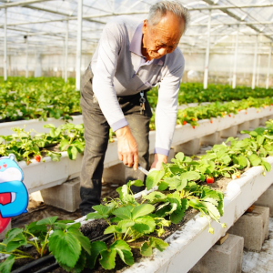 ���p�˞�ʲô��(��i)���̳��決�����R�����ݮ���ӵ������