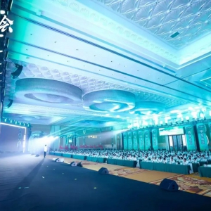 Ԫ?d��)�ɭ�?024���N�ۘI(y��)��(j��)��¶��2025���(zh��n)����Ʒȫ���ع�