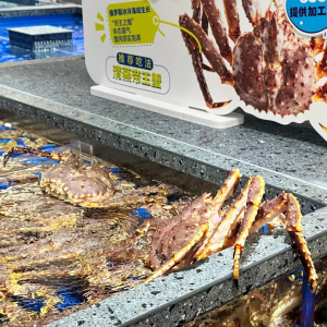 ���l(xi��ng)���M(f��i)�ᳱ�u�������R����з��һ���N�����L(zh��ng)118%