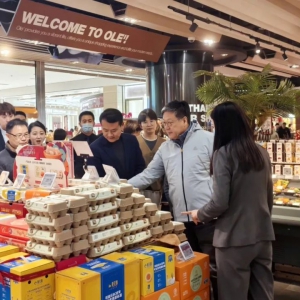 �A�����F�{(l��n)�ٸ�����(j��ng)������Ʒ�����I(y��)������f��ǵ��{(di��o)��