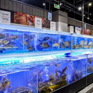 50���T�꟨�£��A���f�ҡ��ƾ֡��ٳ��l(f��)