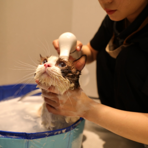 ����(ji��)�������(w��)�������������R��5���Ͼ�������ݡ�����(w��)