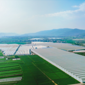 �A��(r��n)�f(w��n)�ҟ��l(xi��ng)Ӌ(j��)��֮�ټһ��ؽ��O(sh��)��վ�������߲ʴ��շ��ѹ��߷Nֲ�J(r��n)�C������ʽ��Ļ