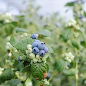 �A���f�ҟ��l(xi��ng)Ӌ(j��)��֮�ټһ��ؽ��O(sh��)�ڶ�վ�������{(l��n)ݮ�J(r��n)�C������ʽ��Ļ