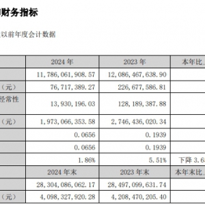 ���ɷ�2024�������ͬ���½�66.16��