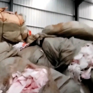 315�ع��ИI(y��)�y���l(w��i)����������ѝ�����ϱ����¡������N�ۡ�