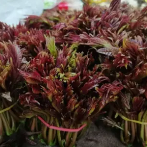 �������ڼ��r(sh��)�������M(f��i)�������������|���r����ӆ��ͬ�����L(zh��ng)��100%