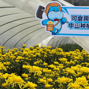 �ϼ�һ�챬�u(m��i)3000�������R��δ��촺�������