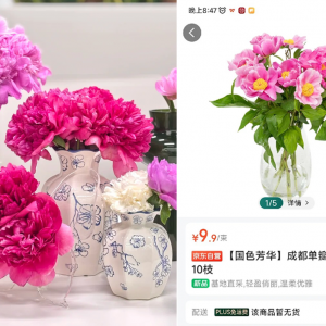 ���¶��x���r���۵��������ӵ�1+N��