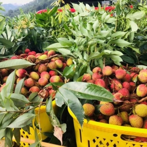 ��һ���ڼ��r(sh��)���������������|���r����ӆ����ͬ�����L(zh��ng)�ӽ�110%