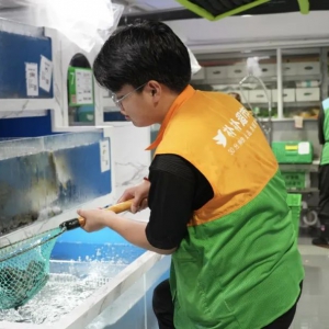 Ȫ�����ձ�1.6�f�������r��̺��R���u���{ʲô��