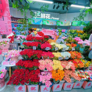 5���M����ˎʢ���� ���R�i���Ĵ�a(ch��n)�^(q��)����800�f֧