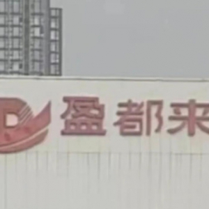 �ֶ�������ӯ����