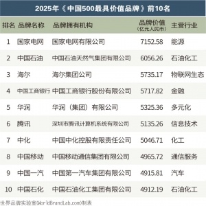 ����463�|�����x445�|��(li��n)�A410�|��2025�Ї�500��߃rֵƷ�����а񹫲�