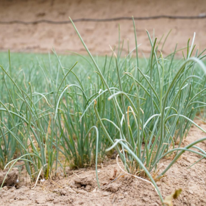 �����I�˼Ӵa���a���Lζ����Ӌ��ֱ��5000�fԪ���C����ڲˡ�