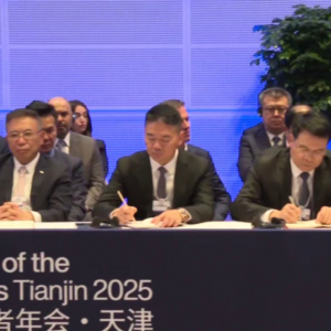 �����|��������������