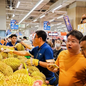 ���R�r���M(j��n)�v�����_�󐂳������_�I(y��)14���ԁ��Ŀ���ӛ�