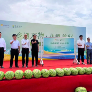 �A���f�ҡ����l(xi��ng)Ӌ(j��)�������Ƅ�(d��ng)������ɫ�r(n��ng)�a(ch��n)Ʒ����ȫ���Ј�(ch��ng)